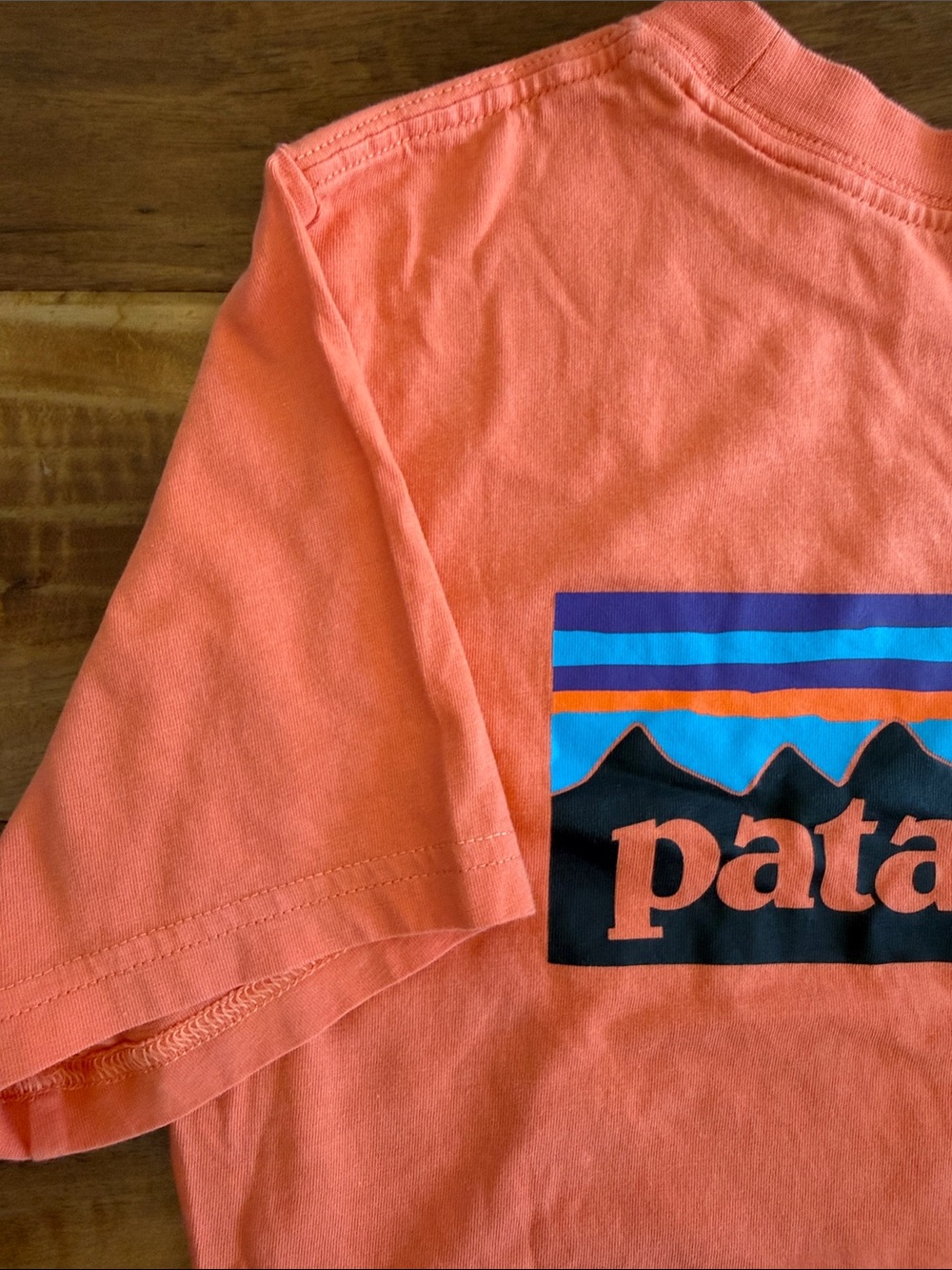 Patagonia Kids’ Graphic T-Shirt - P6 Logo: Orange/Coral - Size L (12)